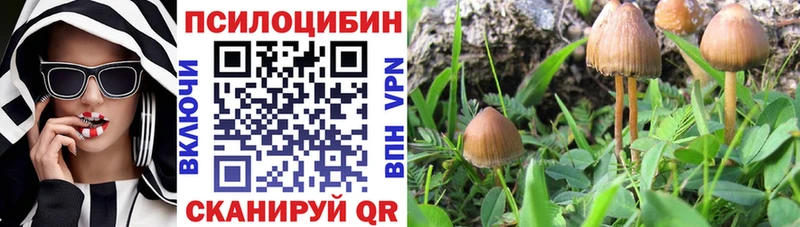 наркотики  omg ссылки  Галлюциногенные грибы Magic Shrooms  Горячеводский 
